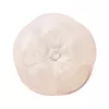 Стимулятор для эрогенных зон IROHA Petit - Plum