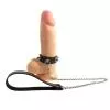 Кольцо для пениса Penis Ring с шипами и поводком