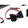 Набор БДСМ с дорожной сумкой Master Series: Bow — Luxury BDSM Set With Travel Bag, 11 предметов