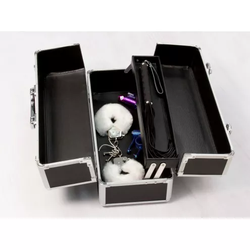Большой кейс для хранения секс-игрушек BMS Factory Large Lokable Vibrator Case Black