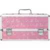 Большой кейс для хранения секс-игрушек BMS Factory Large Lokable Vibrator Case Pink, кодовый замок