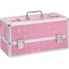 Большой кейс для хранения секс-игрушек BMS Factory Large Lokable Vibrator Case Pink, кодовый замок