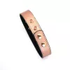 Ошейник с зажимами для сосков Liebe Seele Rose Gold Memory Collar with Nipple Clamps