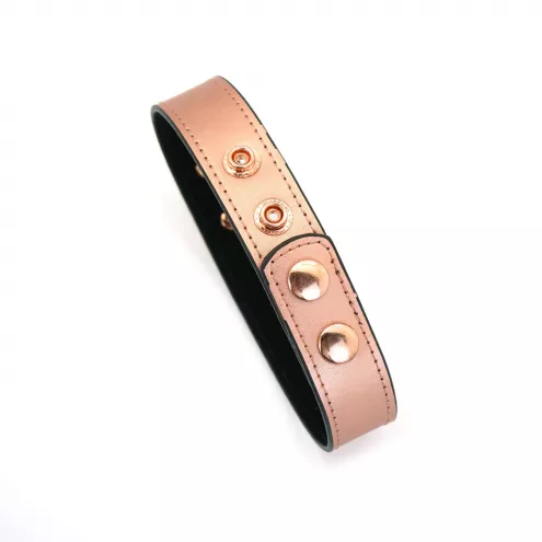 Ошейник с зажимами для сосков Liebe Seele Rose Gold Memory Collar with Nipple Clamps