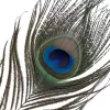 Щекоталка LOCKINK SEVANDA Natural Peacock Flirting Feather Tickler