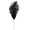 Щекоталка LOCKINK SEVANDA Natural Peacock Flirting Feather Tickler