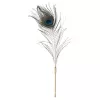 Щекоталка LOCKINK SEVANDA Natural Peacock Flirting Feather Tickler