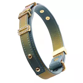 Ошейник LOCKINK Multi-color DIY Alphabet Collar - 5