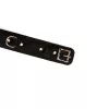 Нашийник з повідцем Liebe Seele Boudoir Amor Collar with Leash Black