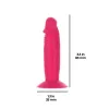 Набор фаллоимитаторов ADDICTION Silly Willy 3.3 Silicone Dildo, 3 цвета, 12 шт