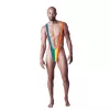 Мужские стринги - Rainbow Mankini One Size